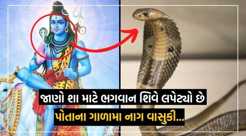 Know that Lord Shiva wore a snake around his neck