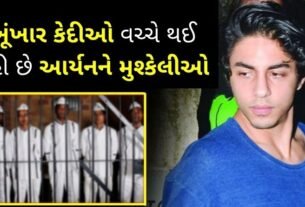 problems of aryan khan in jail
