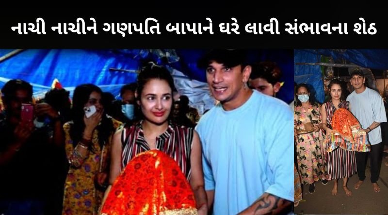 ઉઘાડા પગે ગણપતિ બાપાને ઘરે લાવ્યા ટીવી એક્ટર અર્જુન બિજલાણી અને પ્રિન્સ નરુલા, જુવો તસ્વીર...