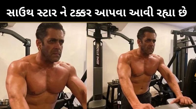 56 વર્ષના સલમાન ખાન સાઉથના સ્ટાર ને ટક્કર આપવા માટે લાગી ગયા કામે, સિક્સ પેક બોડી શેર કરીને...