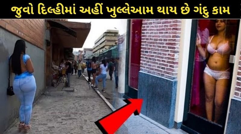 જુવો દિલ્હીમાં અહીં ખુલ્લેઆમ થાય છે ગંદુ કામ, પોસ્ટ ડિલેટ થાય એ પહેલા જોઈ લો ફટાફટ...