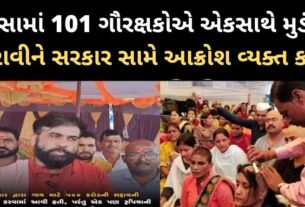 ડીસામાં 101 ગૌરક્ષકોએ એકસાથે મુડંન કરાવીને સરકાર સામે આક્રોશ ‌વ્યક્ત કર્યો, જાણો શા માટે જાણો...