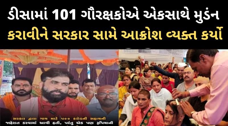 ડીસામાં 101 ગૌરક્ષકોએ એકસાથે મુડંન કરાવીને સરકાર સામે આક્રોશ ‌વ્યક્ત કર્યો, જાણો શા માટે જાણો...