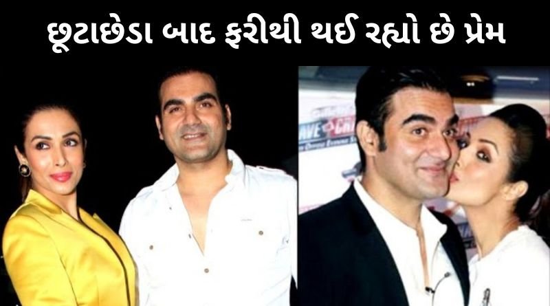 છૂટાછેડા બાદ મલાઈકા અરોડા અને અરબાઝ ખાનને ફરીથી થયો પ્રેમ, મલાઈકાએ જણાવતા કહ્યું...