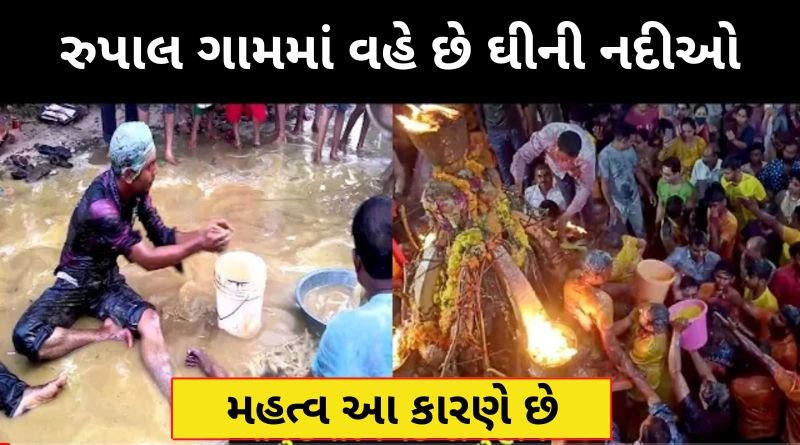 રુપાલ ગામમાં વહે છે ઘીની નદીઓ આ પલ્લી નુ આટલું મહત્વ આ કારણે છે, જાણો