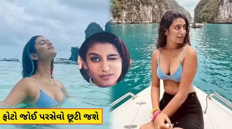 પ્રિયા પ્રકાશે બિકીનીમાં બતાડ્યો પોતાનો નવો અવતાર, ફોટો જોઈ ફેન્સનો પણ પરસેવો છૂટી ગયો...