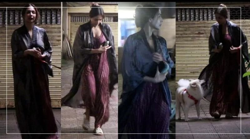 સિલ્કી નાઇટી પહેરીને આવેલી મલાઈકા અરોડા નું બધું ચોખ્ખું દેખાયું, લોકોએ મજા લીધી...