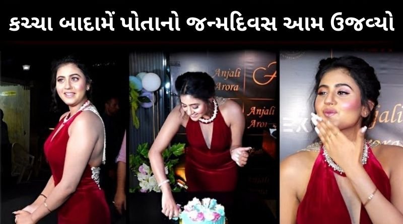કચ્ચા બાદામ એટલે કે અંજલી એરોડાએ પોતાનો જન્મદિવસ આમ ઉજવ્યો, હવે આટલી મોટી થઈ ગઈ...