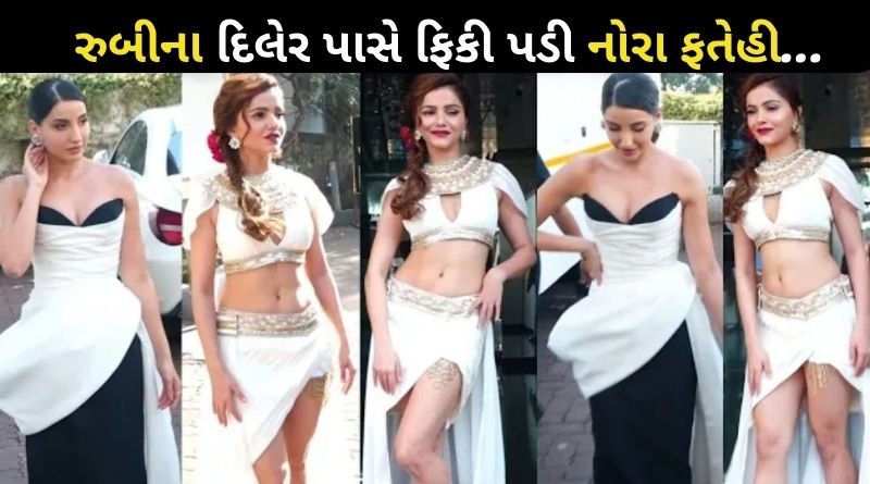 કોઈ પરી બની તો કોઈ હુશ્નની જાદુગરી, રુબીના દિલેર પાસે ફિકી પડી નોરા ફતેહી...