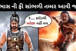 શું સાઉથ અભિનેતા પ્રભાસ પ્રોડ્યુસર ના પૈસા બરબાદ કરી રહ્યા છે, ફી સાંભળી આંખો પહોળી થઈ જશે....