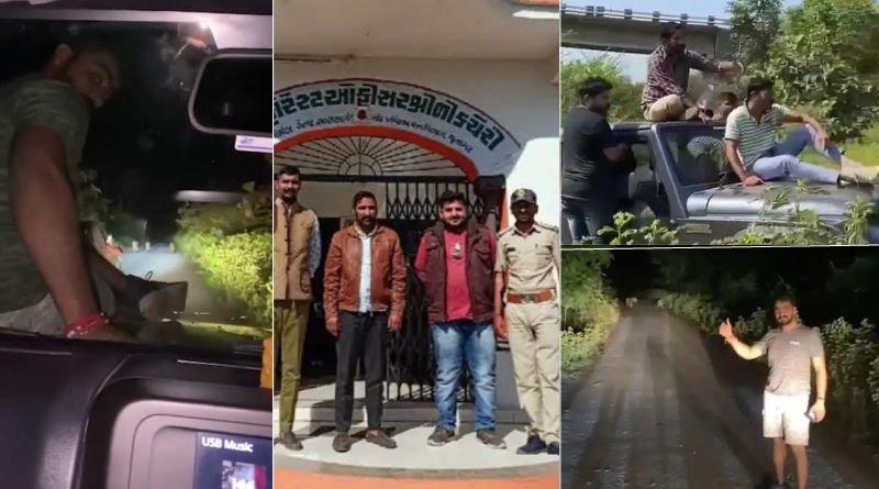 સાસણમાં સિંહની પાછળ કાર દોડાવી બોનેટ પર સીનસપાટા કરવા ભારે પડ્યા...