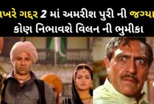 આખરે ગદ્દર 2 માં અમરીશ પુરી ની જગ્યાએ કોણ નિભાવશે વિલન ની ભૂમિકા, જાણો વિગતે...