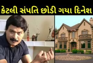 know about dinesh fadnish property
