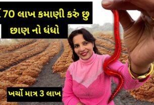 know about this women vermicompost business