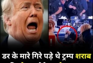 trump dare